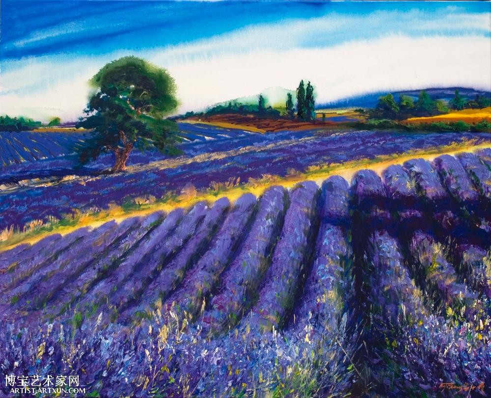 090410 lavender in Provence 普罗旺斯香薰草系列