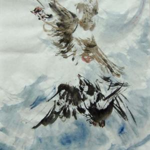 王信的画鸽艺术系列