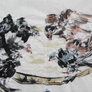 王信的画鸽艺术系列之二