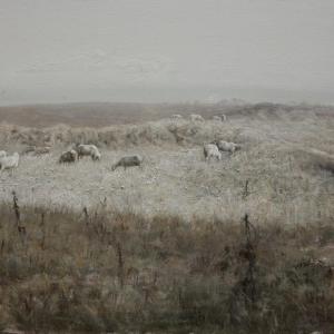 《深秋·羊群》80x116cm  布面油画  2011年