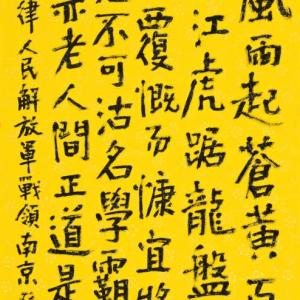 毛主席——七律·人民解放军占领南京
