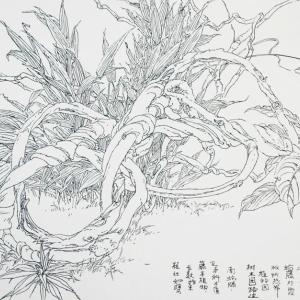 李汉平-写生花卉-19