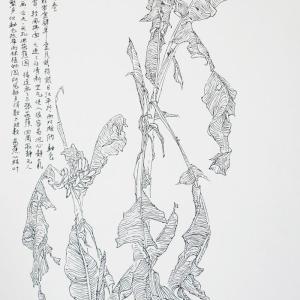 李汉平-写生花卉-122