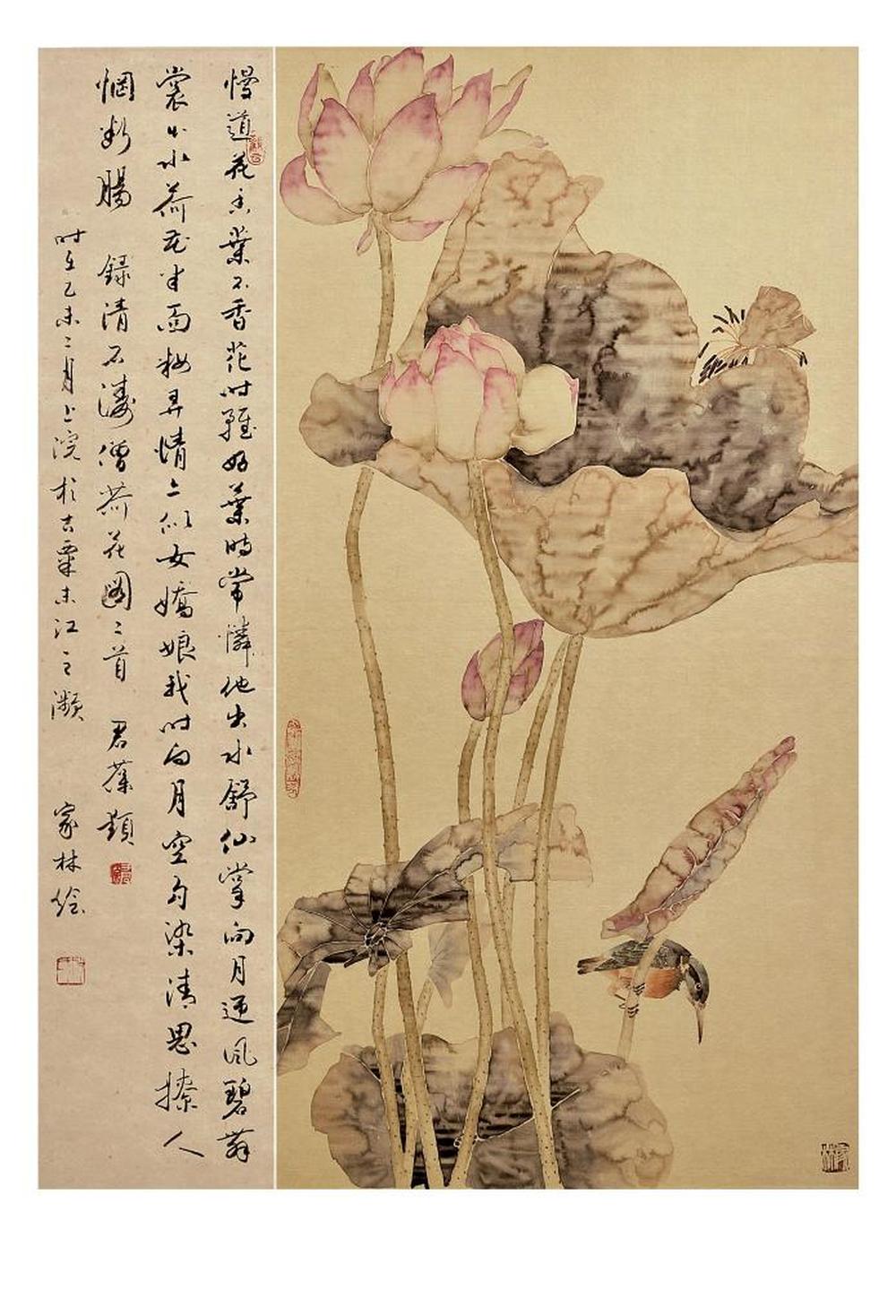荷花翠鸟