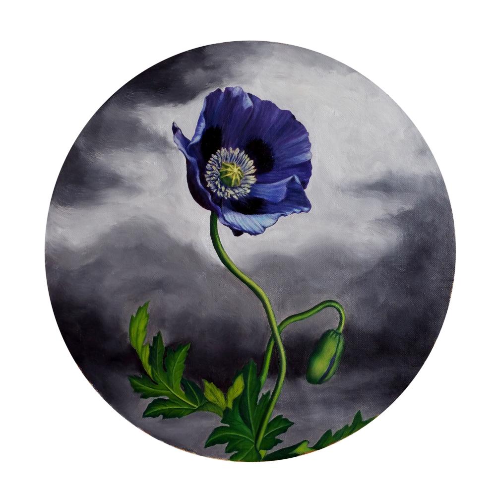 唐莉莉 “雾花系列之蓝色罂粟花“