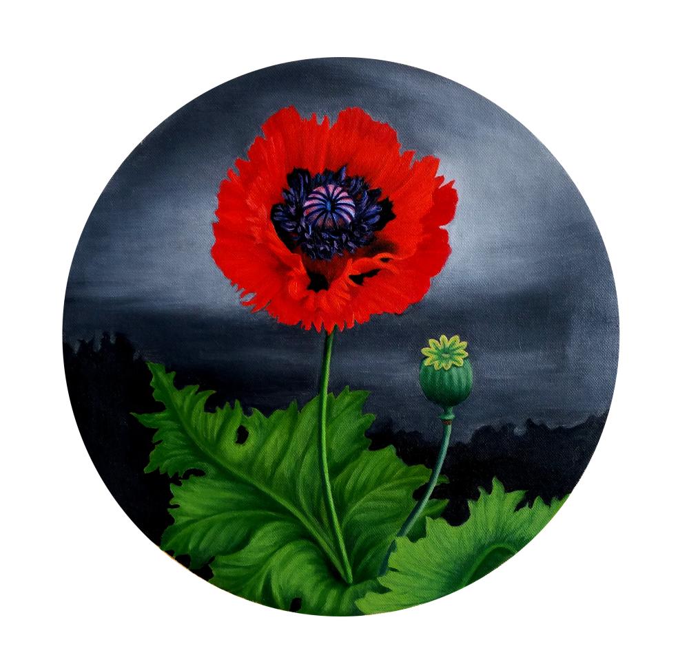 唐莉莉 “雾花系列之赤焰罂粟花“