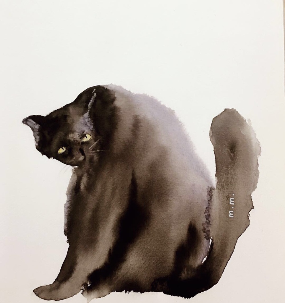 《一只猫咪》