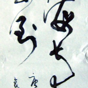 青海长青