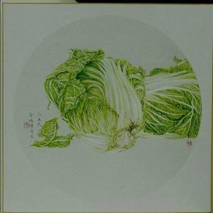 白菜