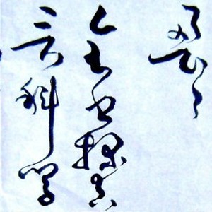 陶同著<进化中的宇宙>后记诗