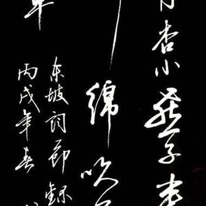 林成龙书法-花褪残红