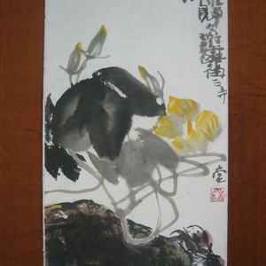 偶见