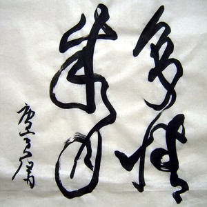 多情的岁月