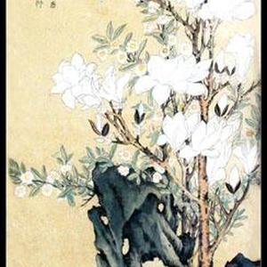 玉堂兰石图