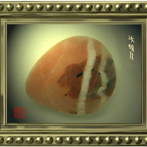 动物篇：冰蟾