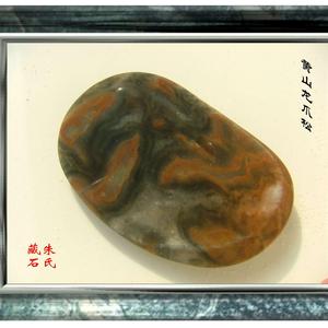 经典名松-黄山龙爪松