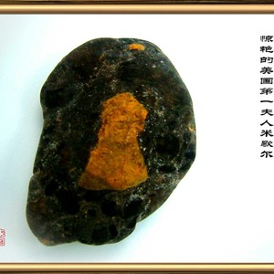 惊艳的美国第一夫人米歇尔