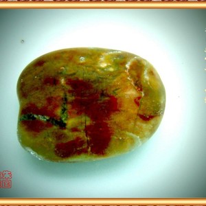 大自然情诗：化蝶