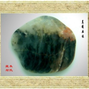 晨曦丛林