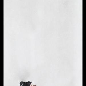 6 把酒问月 70cmX35cm  2010