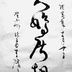 大鸠展翅