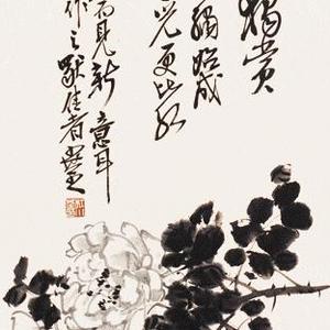 四季花开