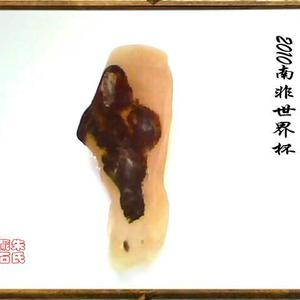 2010 南非世界杯