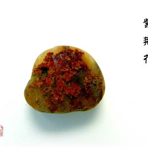 紫荆花
