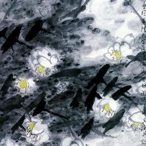 雨塘