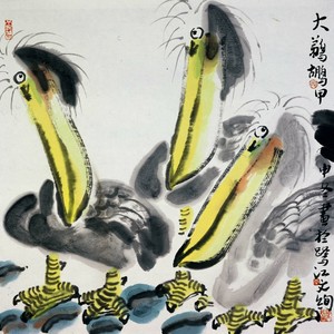 大鸟鹈鹕
