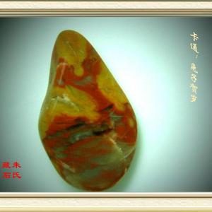 金兔迎岁