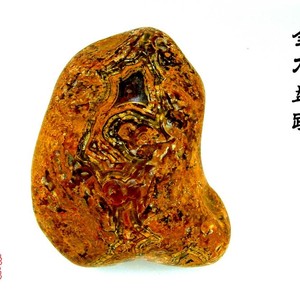 金龙盘踞