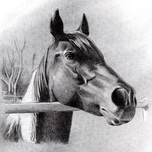 Bessie