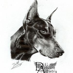 Doberman Portrait in Graphite