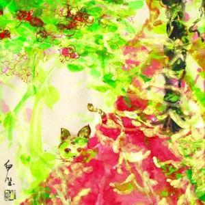 蒹葭伊人 NO.4