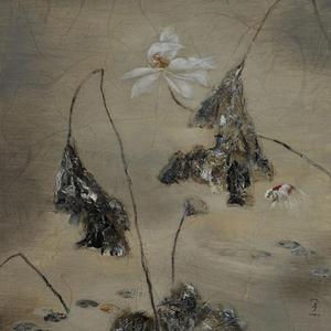 莲花--残荷