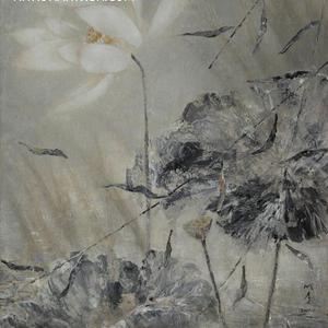 莲花--晨风