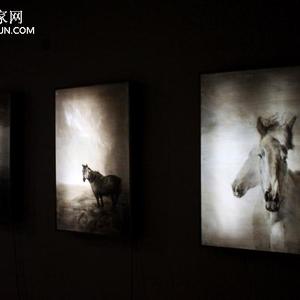 不愿离别的马
