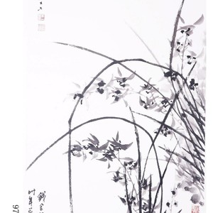 兰花图