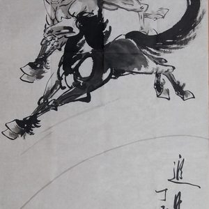追日