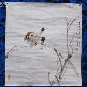 小鸟