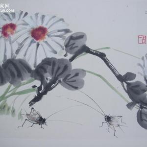 菊花