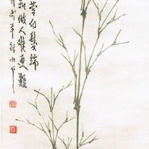 一叶竹