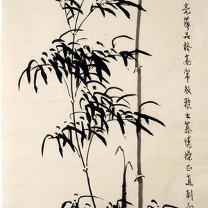 高风亮节