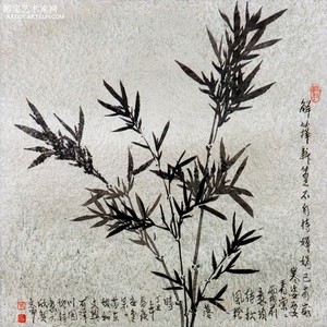 寒姿