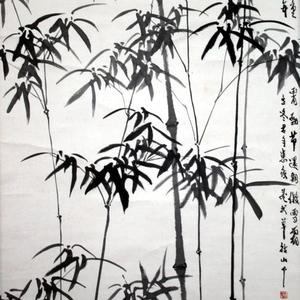 述阴