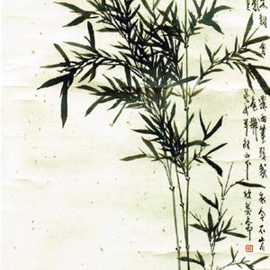 凤尾竹