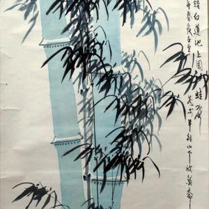 林中观鸟