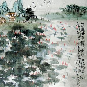 夏荷过雨