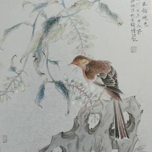 工笔、没骨花鸟画